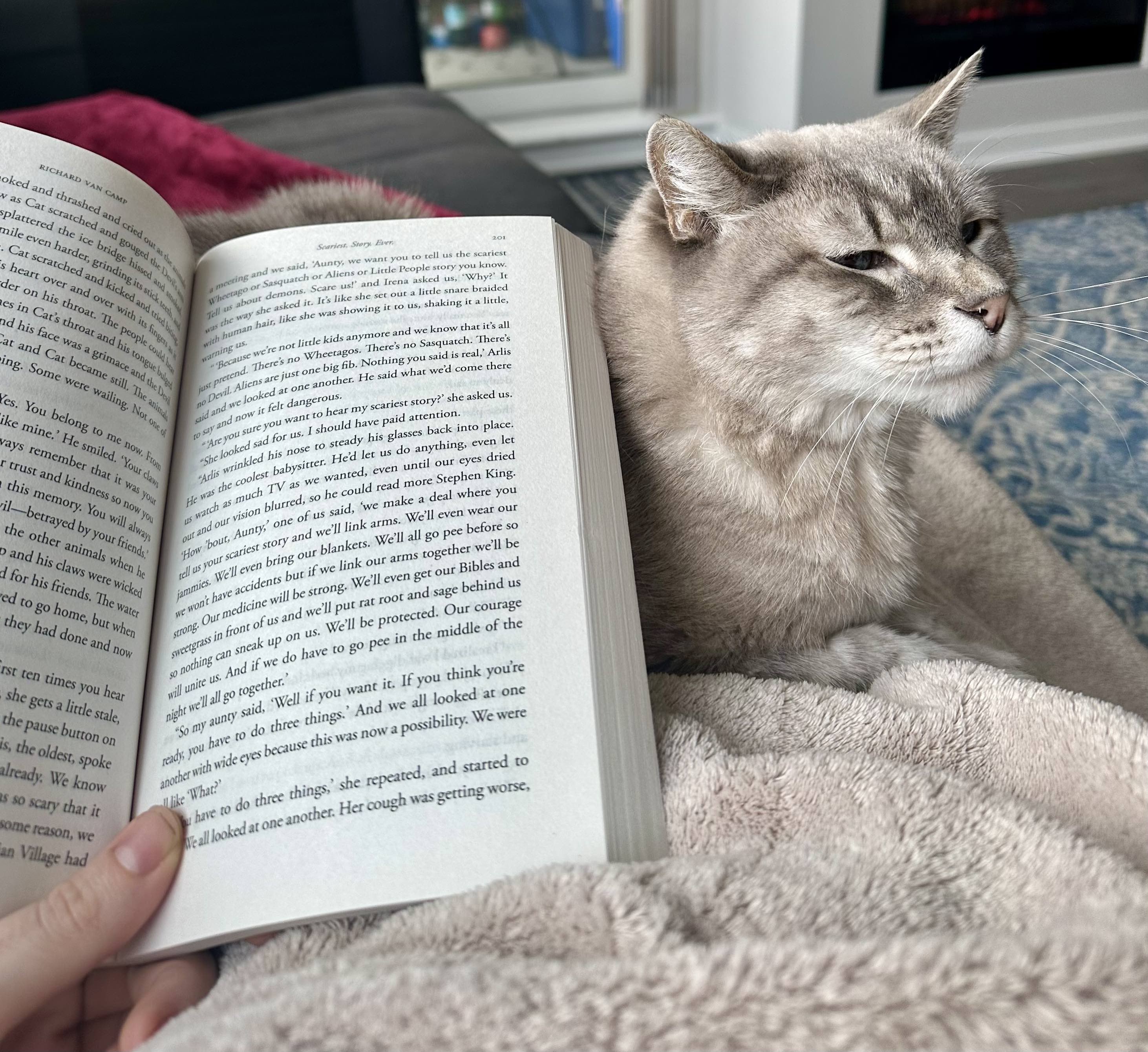 A stack of books and a cozy reading scene