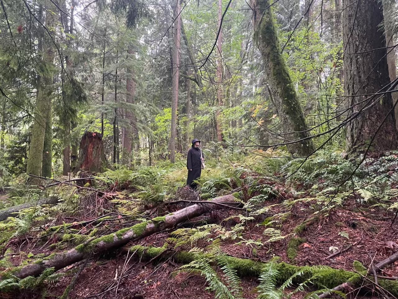 Hanna in the forest with nature notes